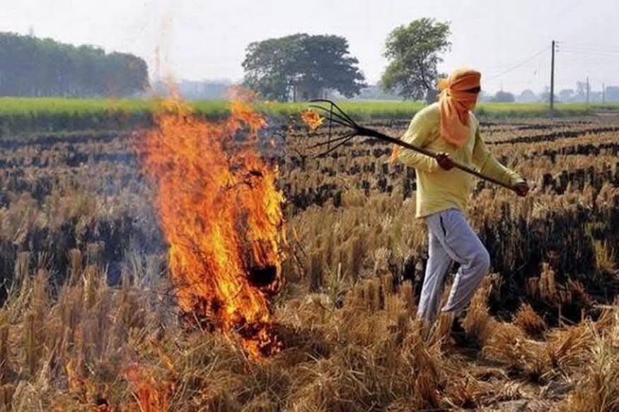 हो जाओ सावधान...पराली जलाने से हो रही जमीन बंजर,हो रहा वातावरण विषाक्त।