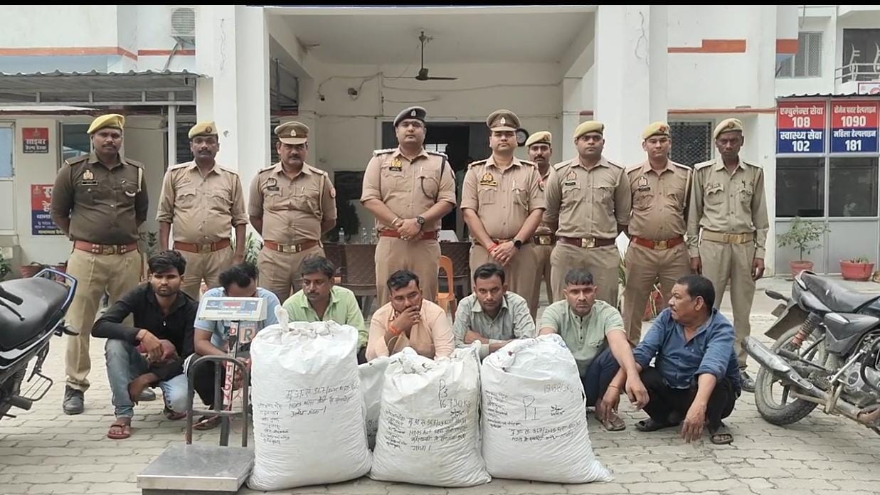 सैनी पुलिस टीम,आबकारी व एएनटीएफ़ बाराबंकी की संयुक्त कार्यवाही में 07 गांजा तस्कर गिरफ्तार।